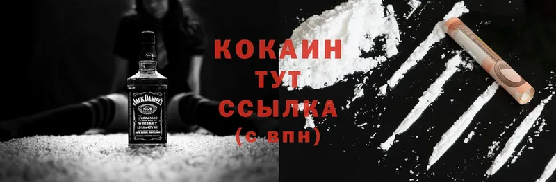 МЕГА как войти  Отрадное  Cocaine Fish Scale  где купить наркотик 